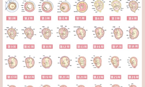 西力欣正确吃法、西力欣正确吃法 -西力欣有什么禁忌网