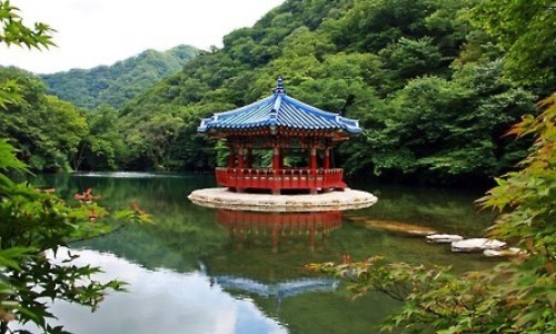 西力欣正确吃法、西力欣正确吃法 -西力欣有什么禁忌网